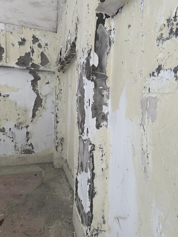 油漆工程案件圖片