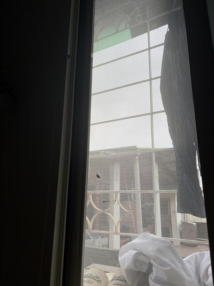 紗窗裝修案件圖片