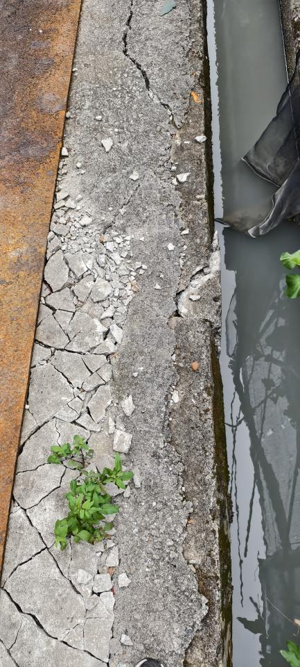 泥作/水泥施工案件圖片