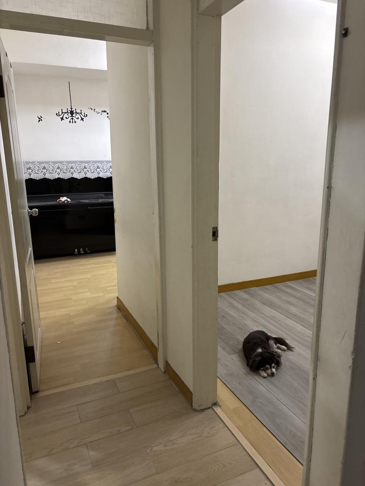 鋼琴搬運案件圖片