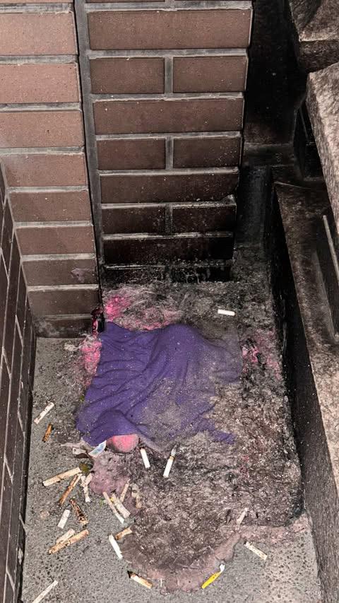 磁磚修補案件圖片