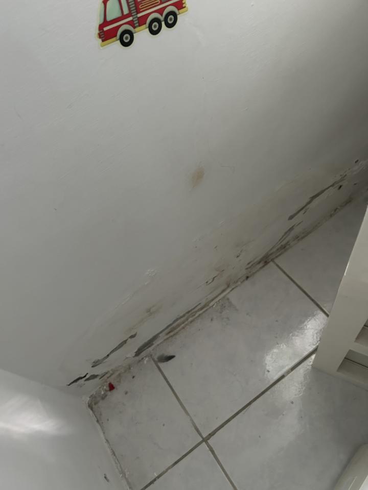 屋頂防水案件圖片