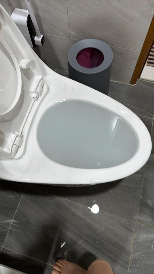 馬桶裝修案件圖片