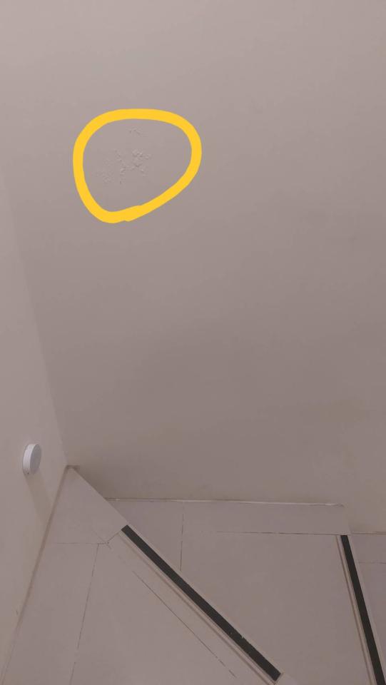 漏水處理案件圖片