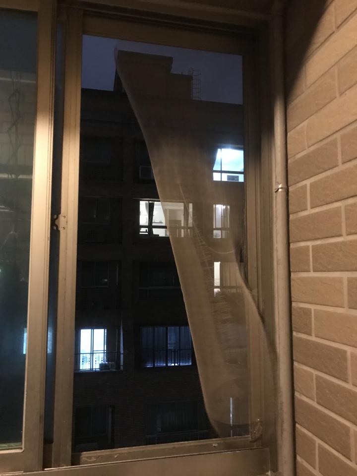 紗窗裝修案件圖片