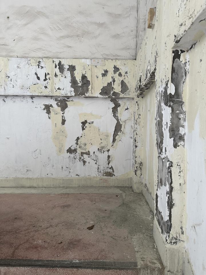 油漆工程案件圖片