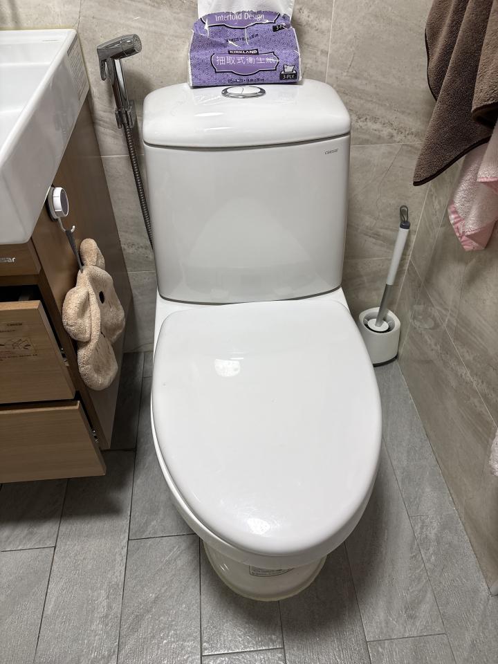 馬桶裝修案件圖片