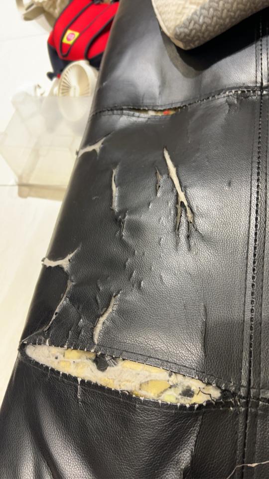 沙發修理案件圖片