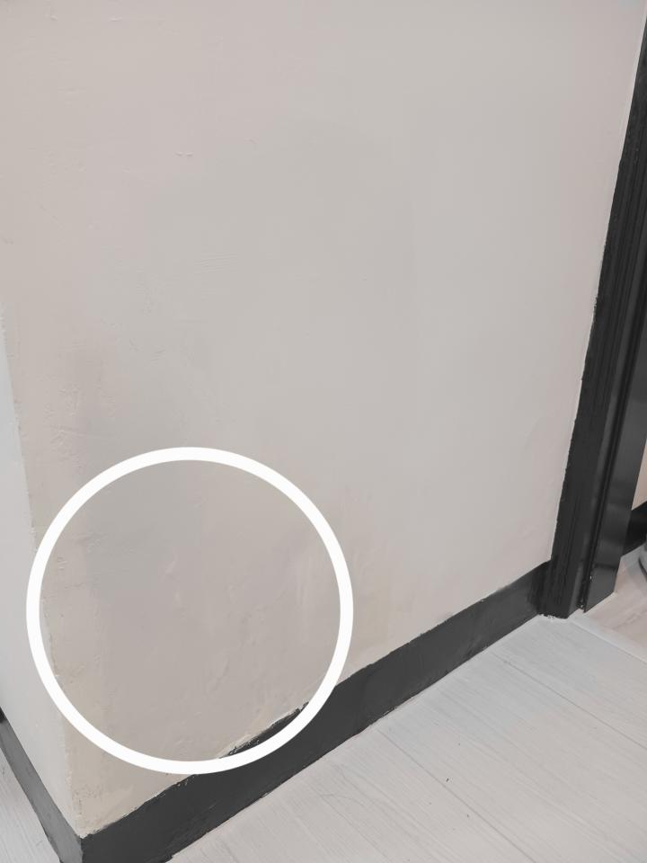 壁癌處理案件圖片