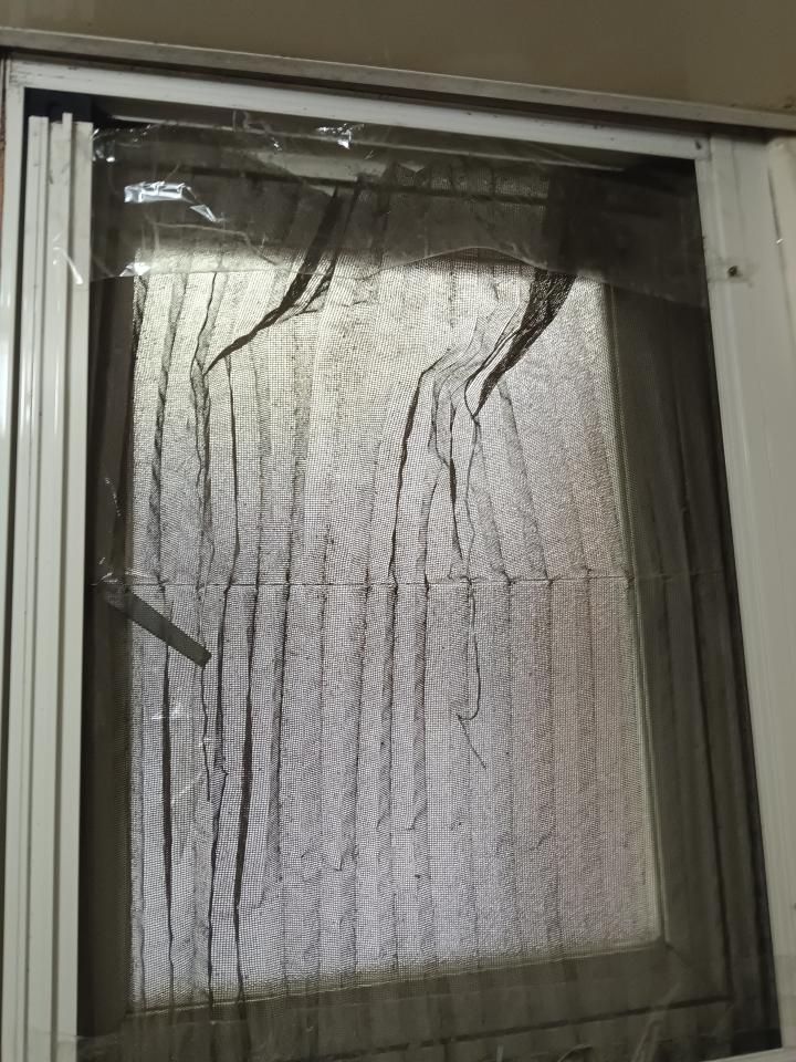 紗窗裝修案件圖片