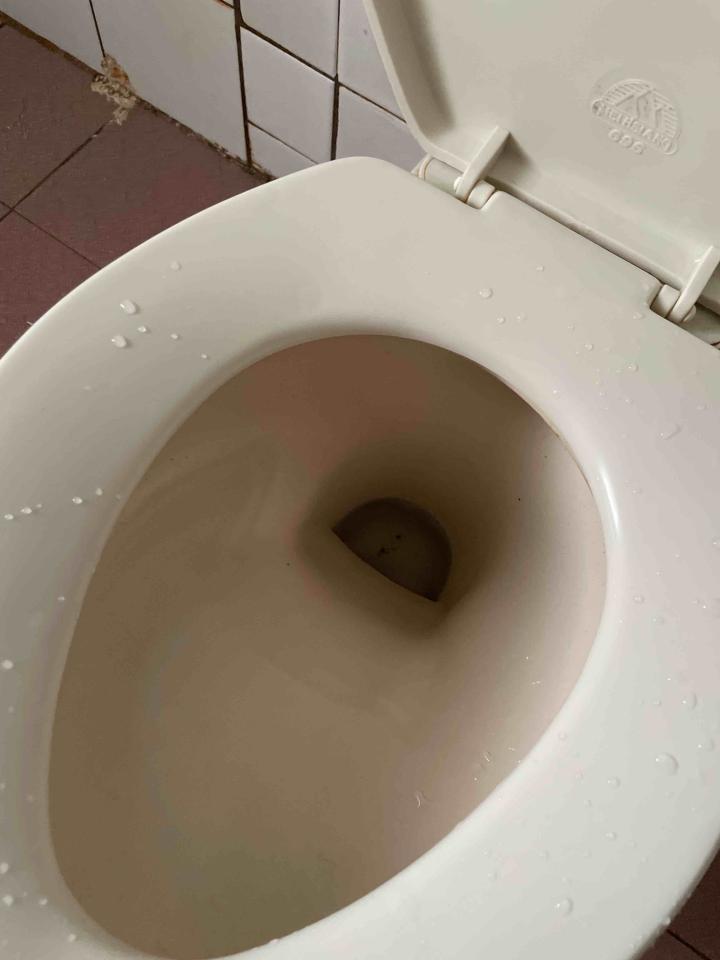 馬桶裝修案件圖片