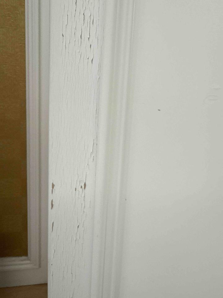 油漆工程案件圖片