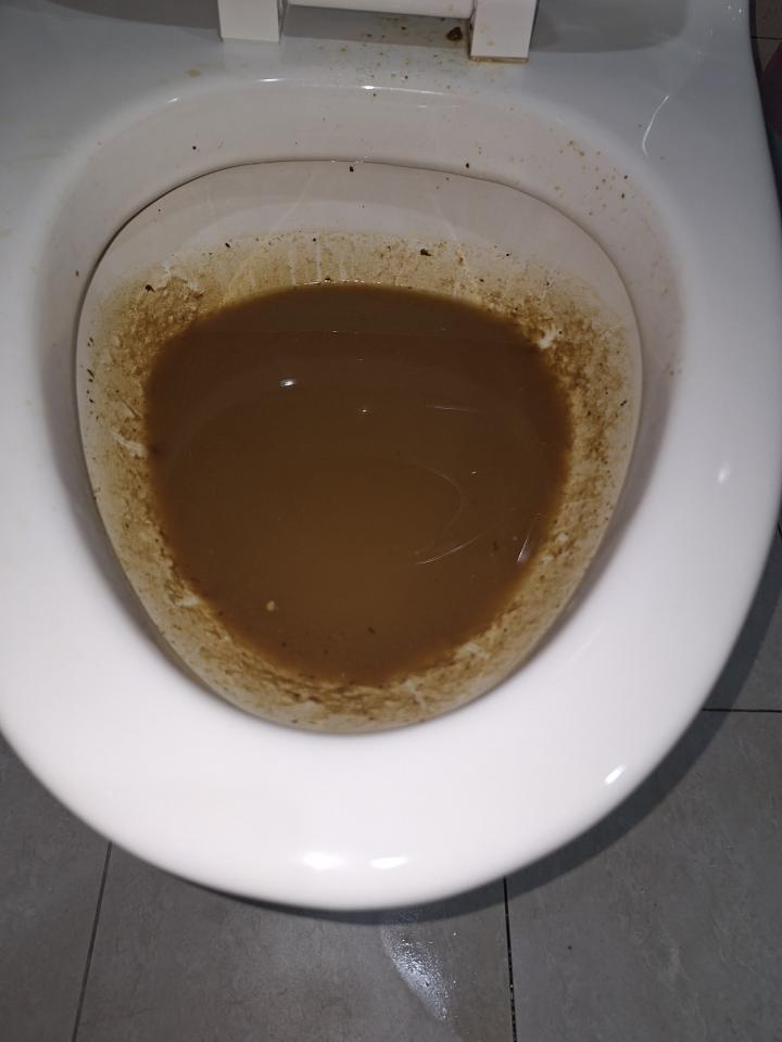 馬桶裝修案件圖片