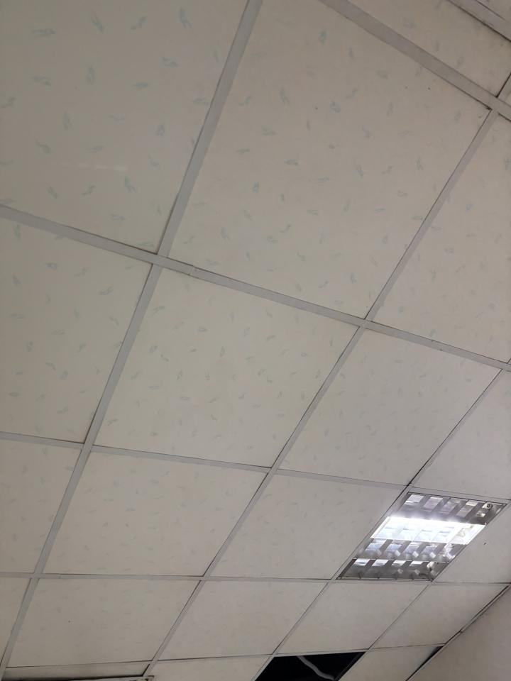 拆除工程案件圖片