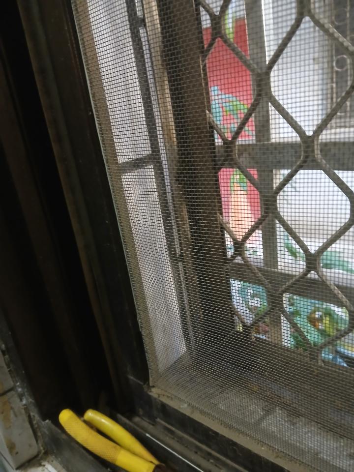 紗窗裝修案件圖片