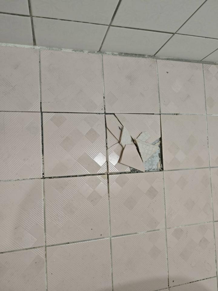 泥作/水泥施工案件圖片