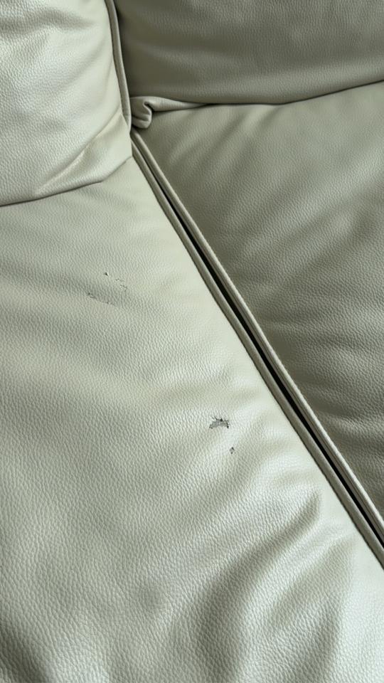 沙發修理案件圖片