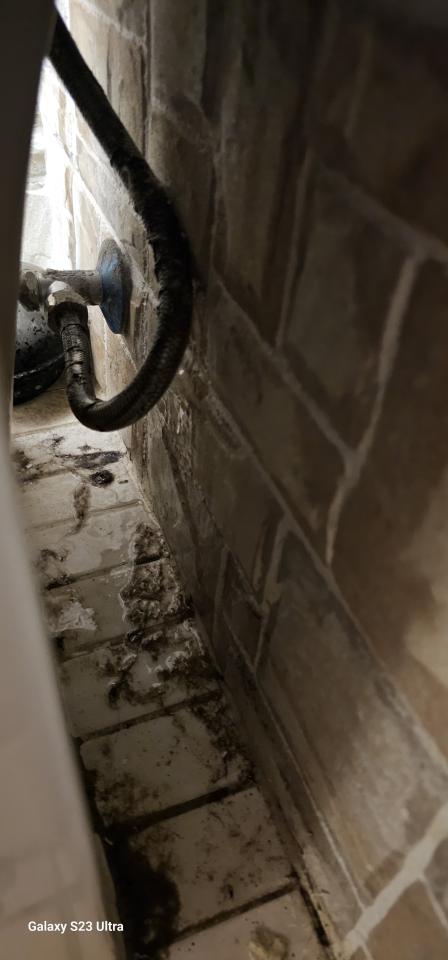 馬桶裝修案件圖片