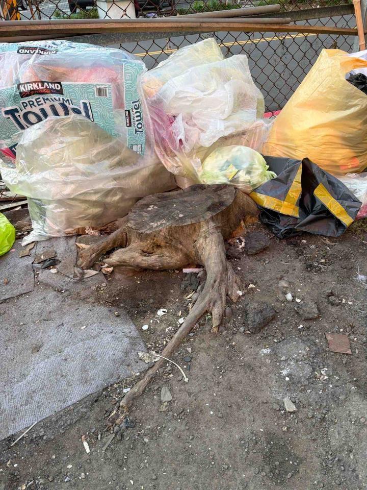 園藝維護案件圖片