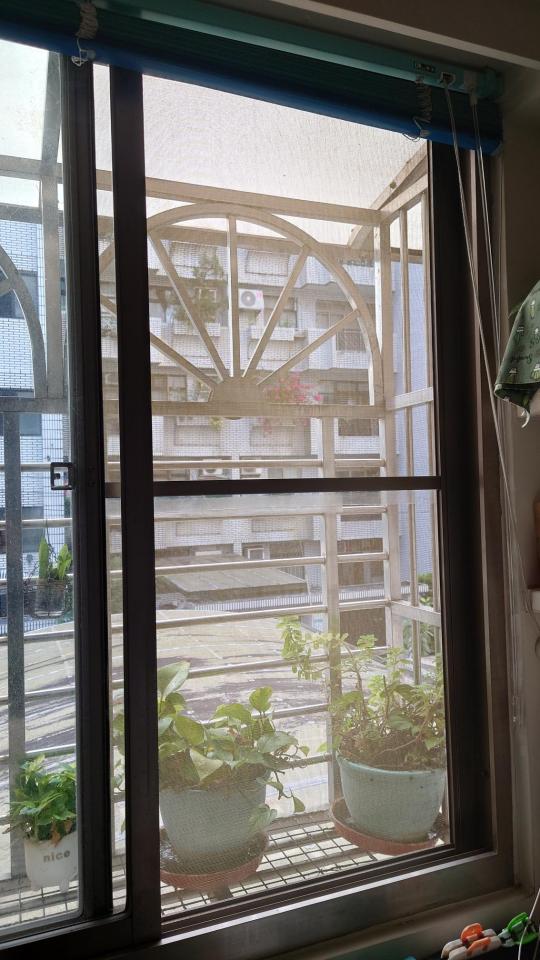 紗窗裝修案件圖片