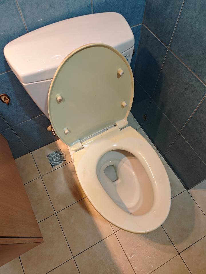 免治馬桶裝修案件圖片