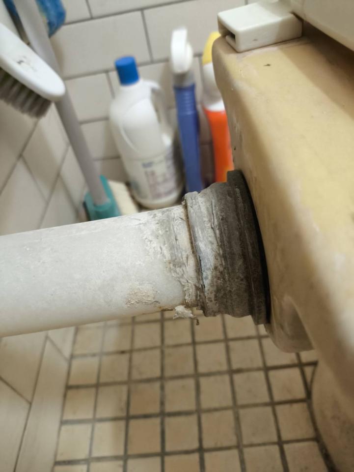 馬桶裝修案件圖片