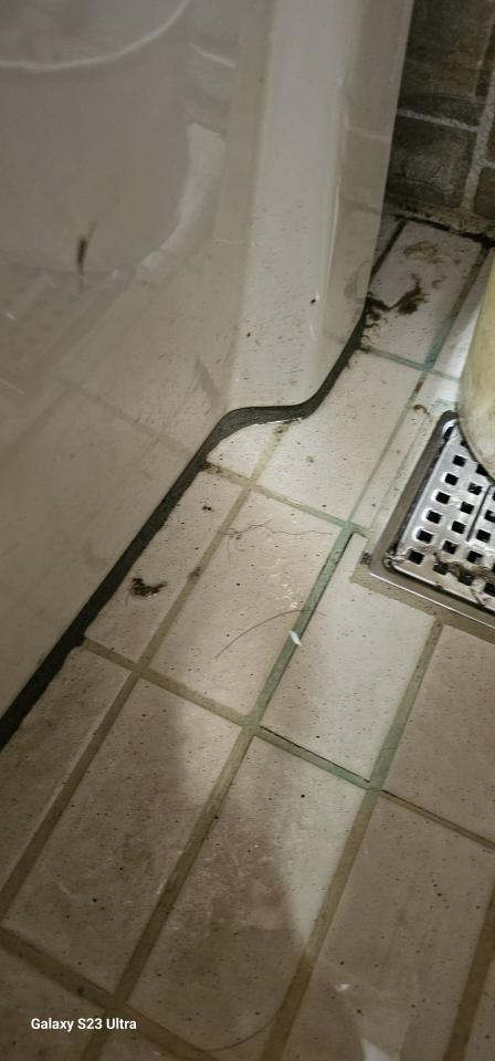 馬桶裝修案件圖片