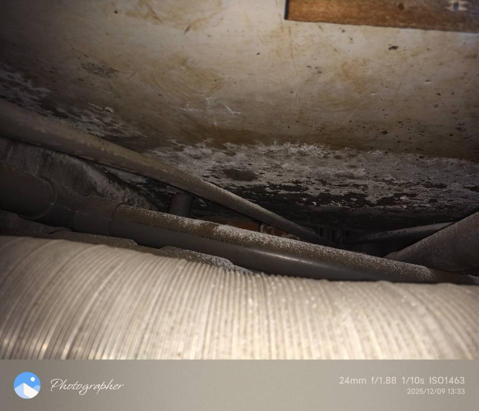 壁癌處理案件圖片