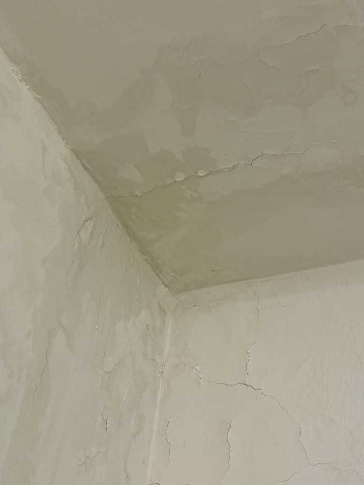 油漆工程案件圖片