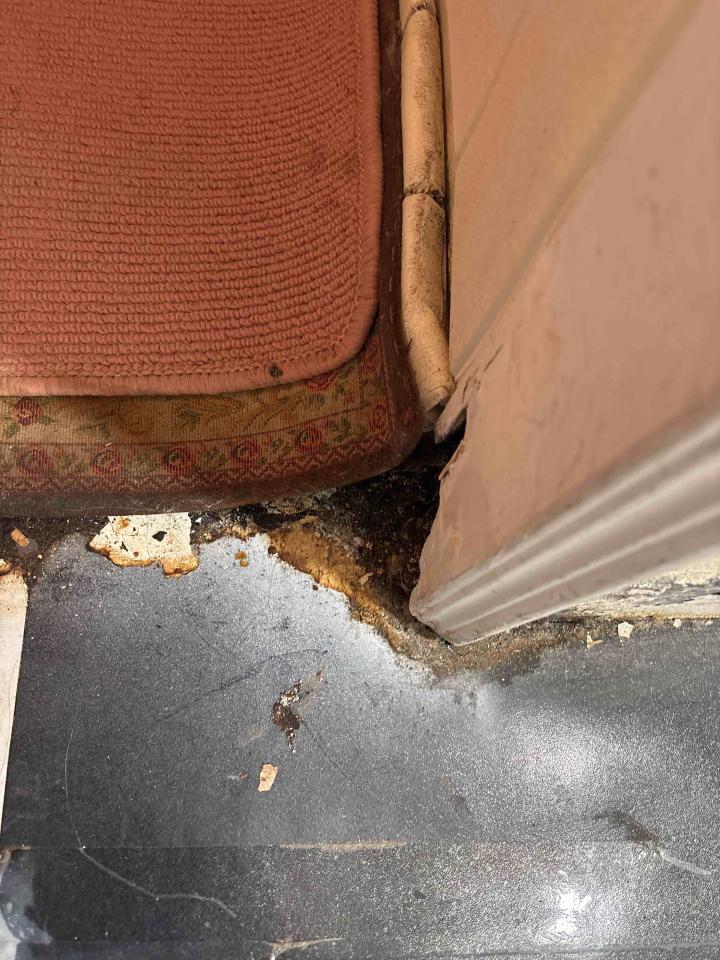 漏水處理案件圖片