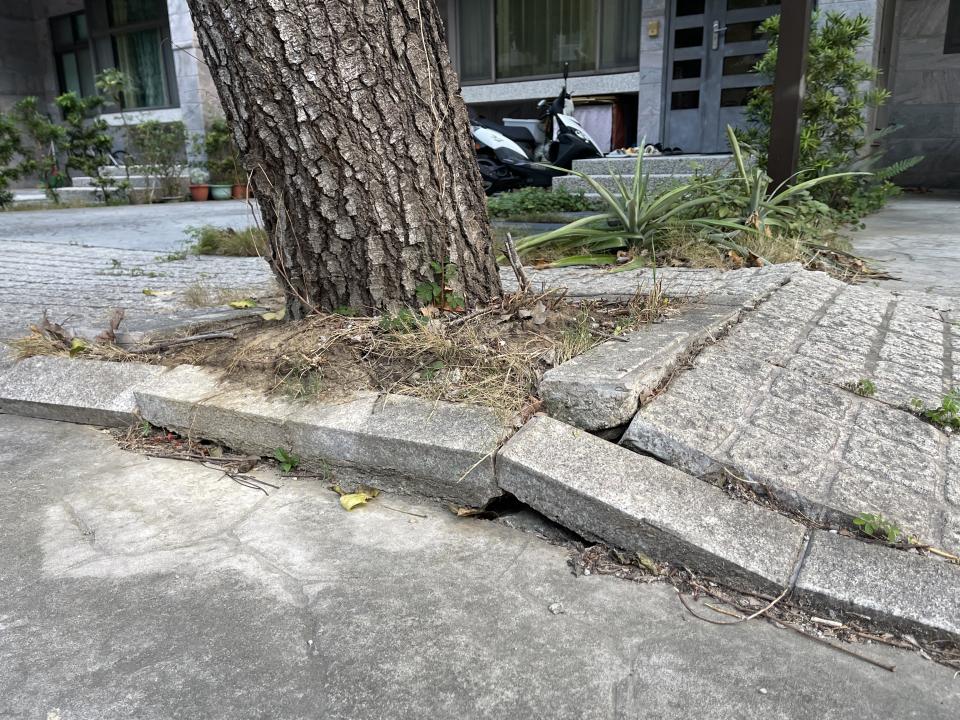 園藝維護案件圖片