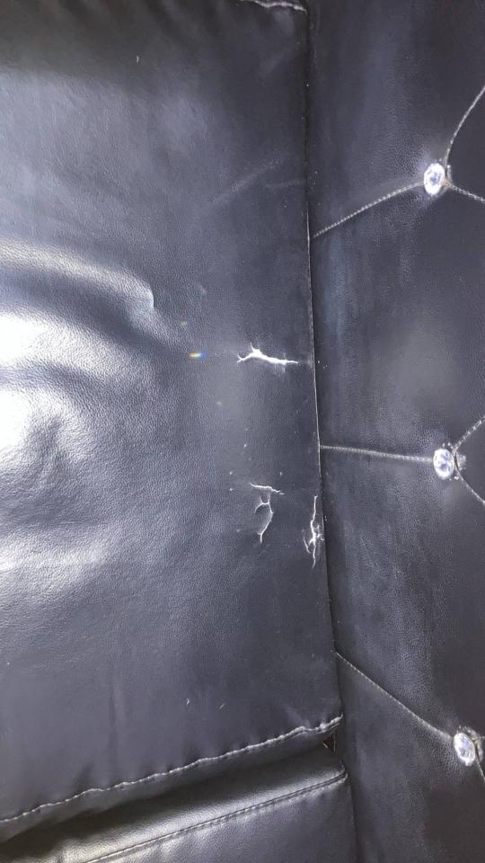 沙發修理案件圖片