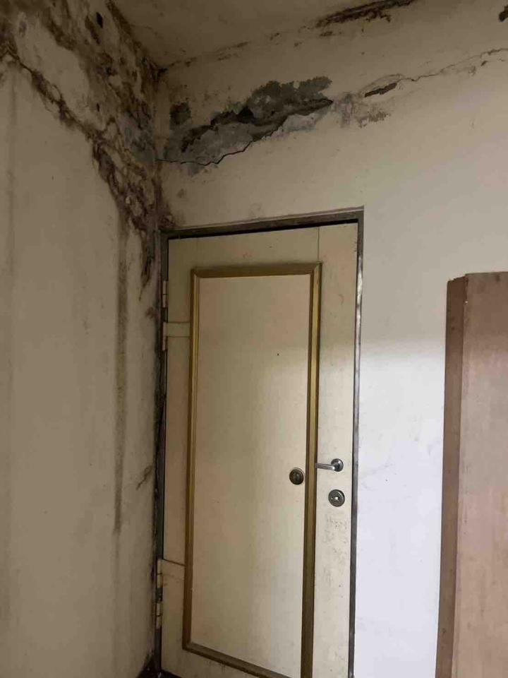 泥作/水泥施工案件圖片