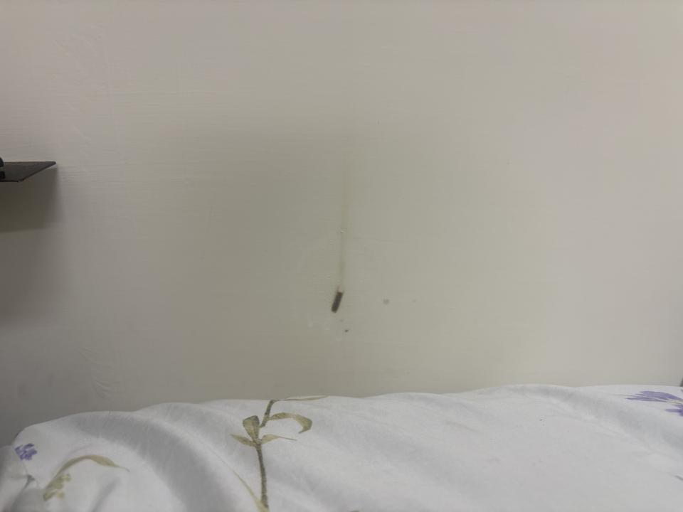 油漆工程案件圖片