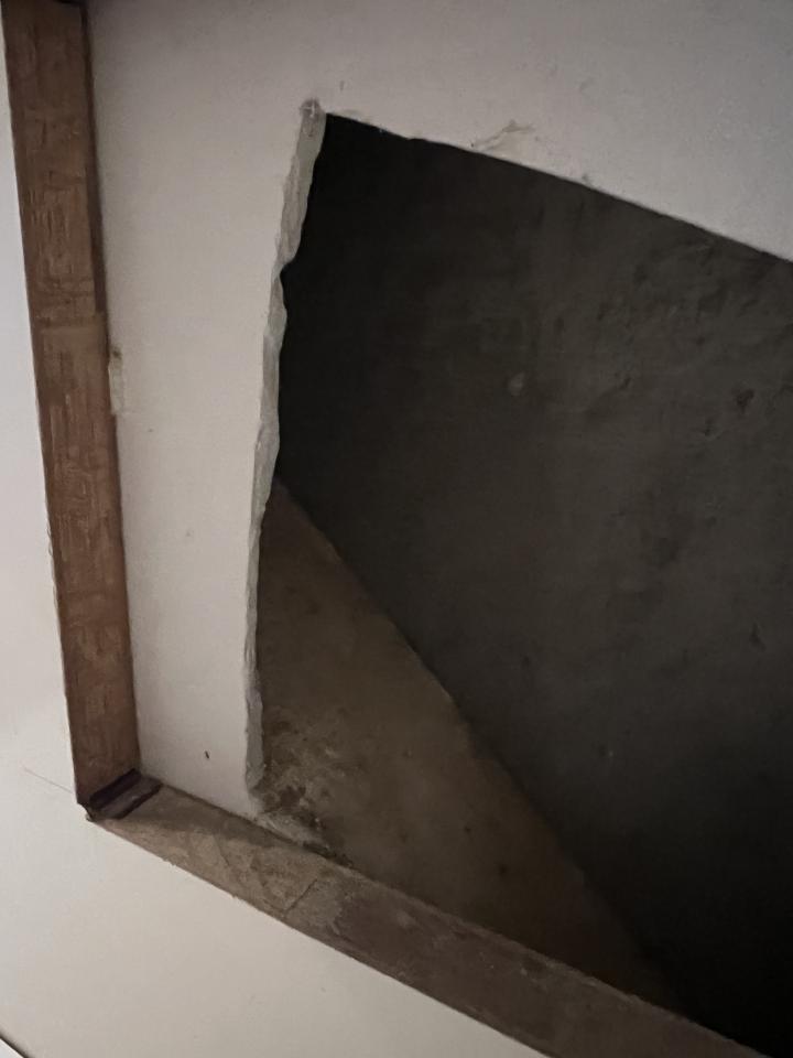 拉網路線案件圖片