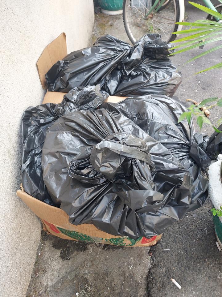 廚餘回收案件圖片