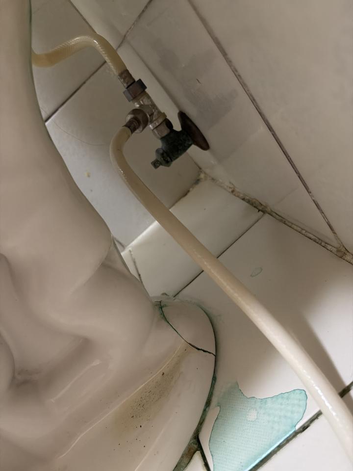 馬桶裝修案件圖片