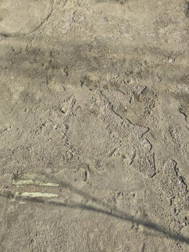 屋頂防水案件圖片