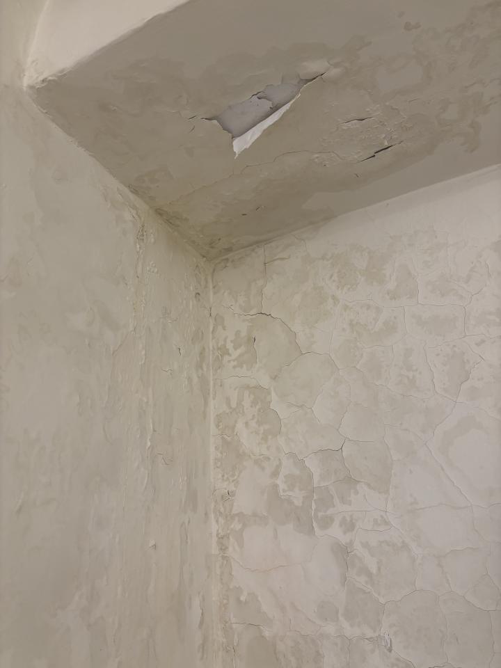 油漆工程案件圖片