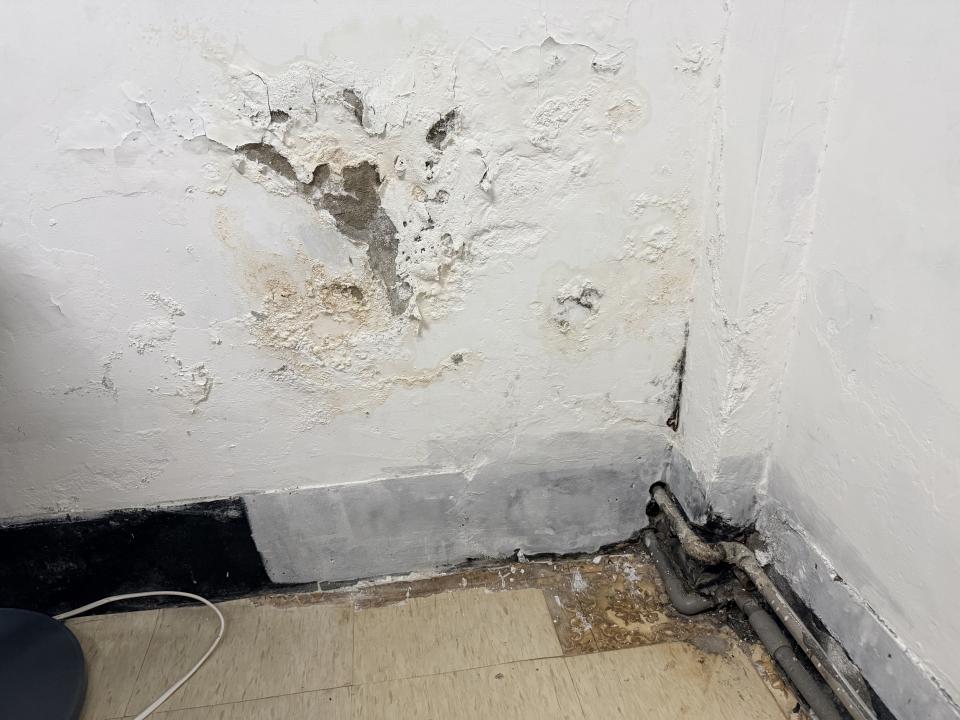 壁癌處理案件圖片