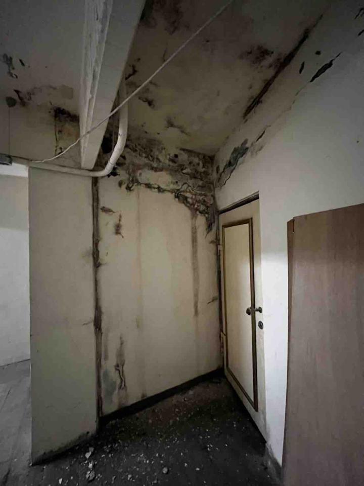 泥作/水泥施工案件圖片