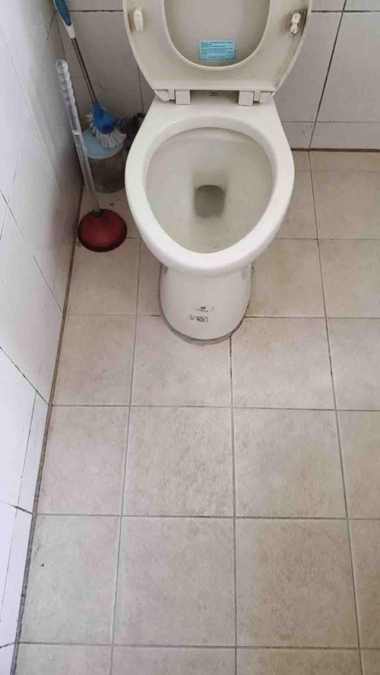 通馬桶案件圖片