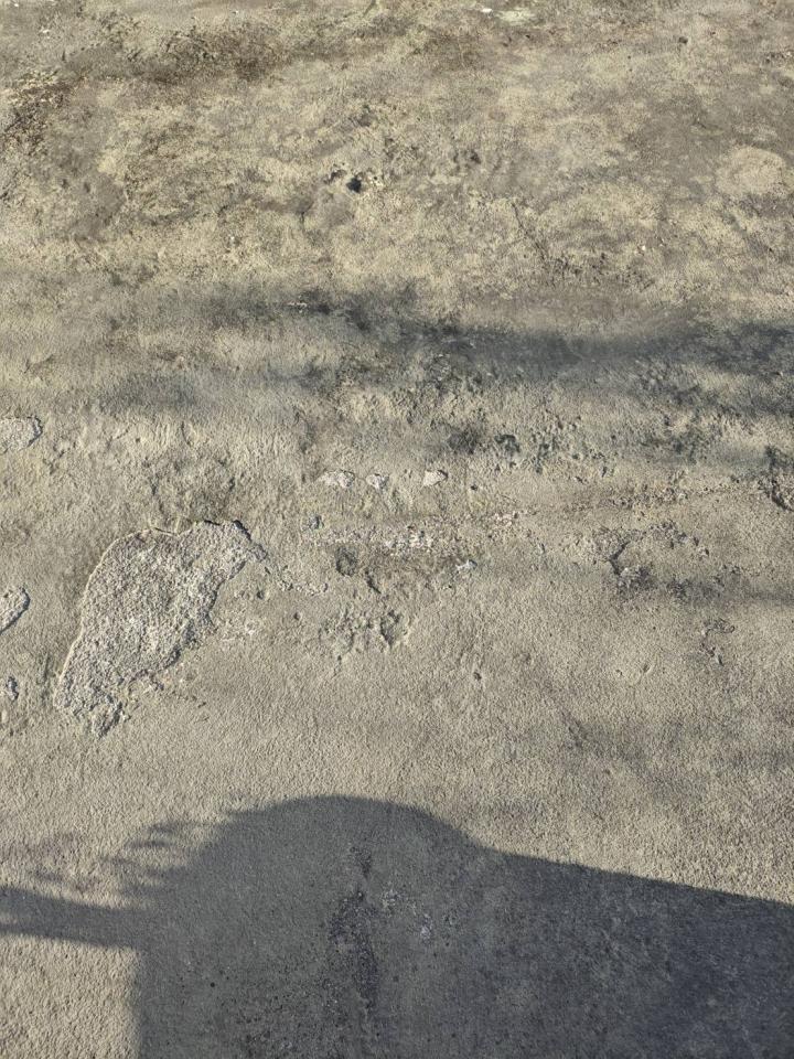 屋頂防水案件圖片