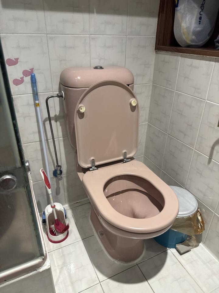 馬桶裝修案件圖片
