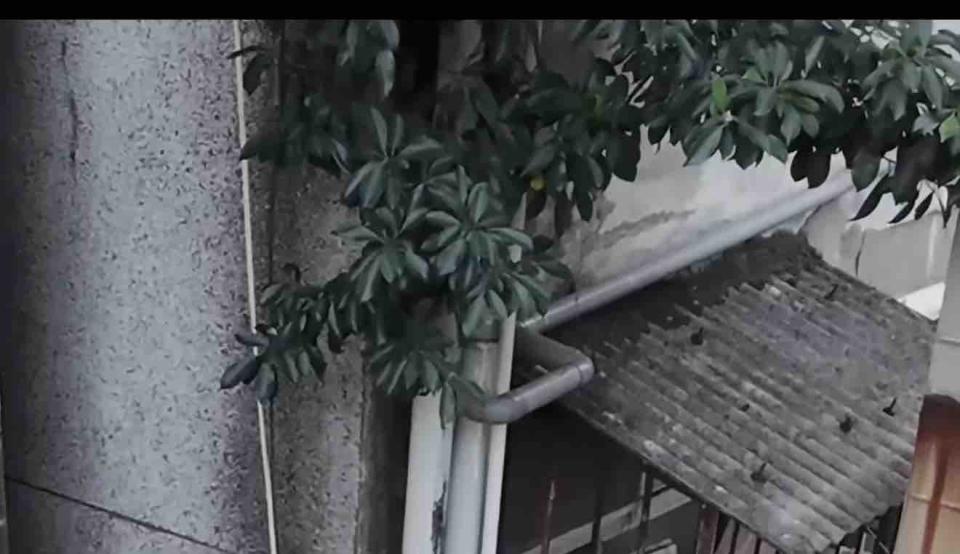 鷹架出租案件圖片