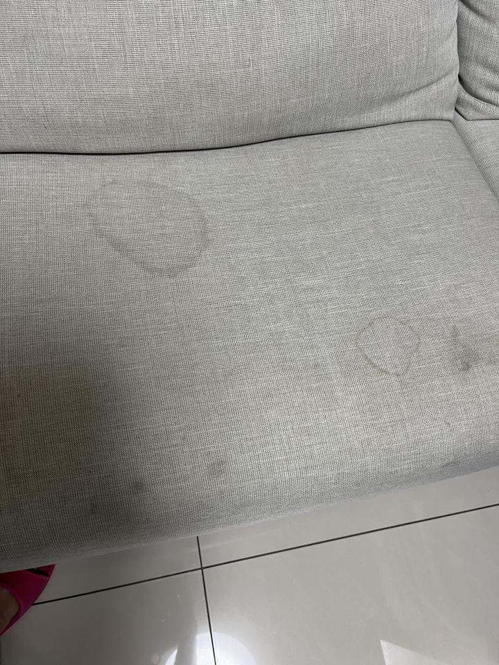 沙發清潔案件圖片