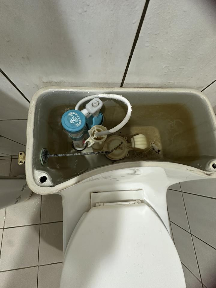 馬桶裝修案件圖片