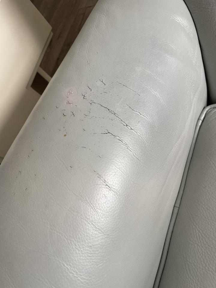 沙發修理案件圖片