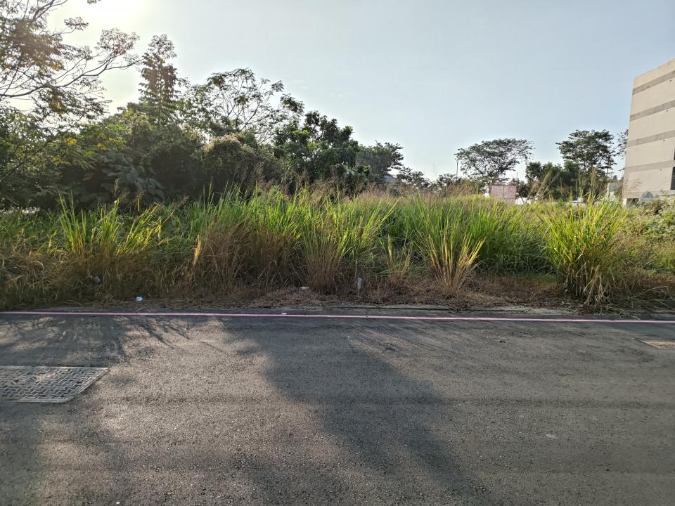 園藝維護案件圖片