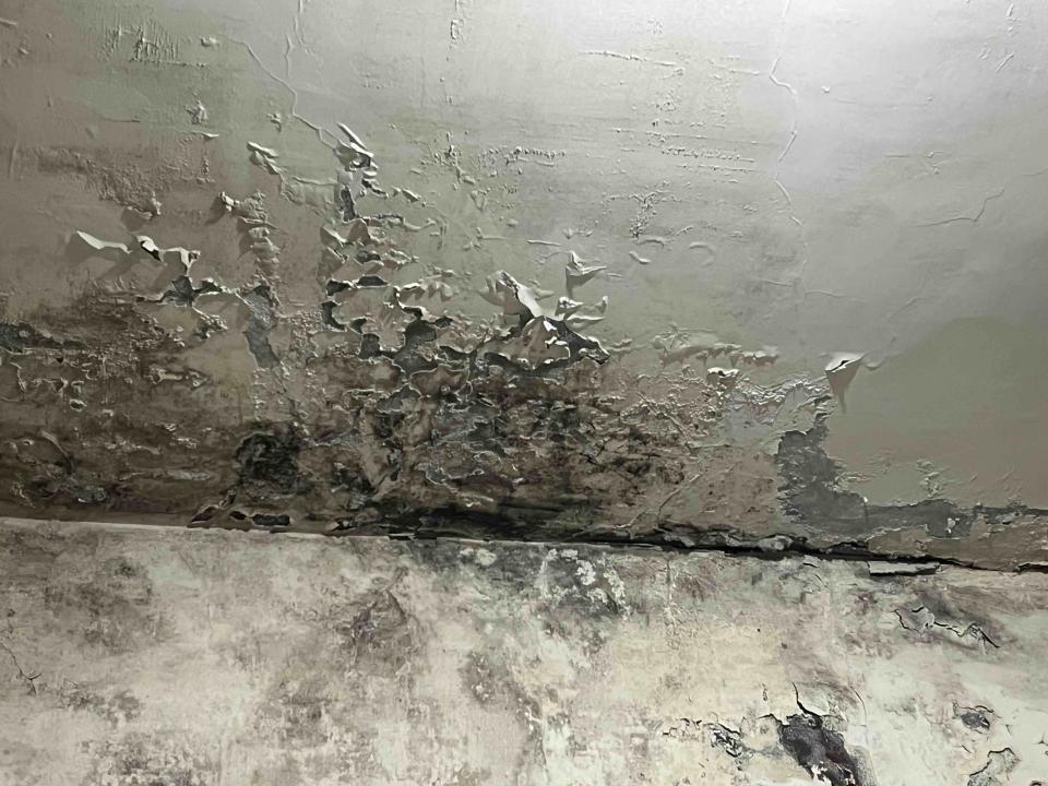 油漆工程案件圖片